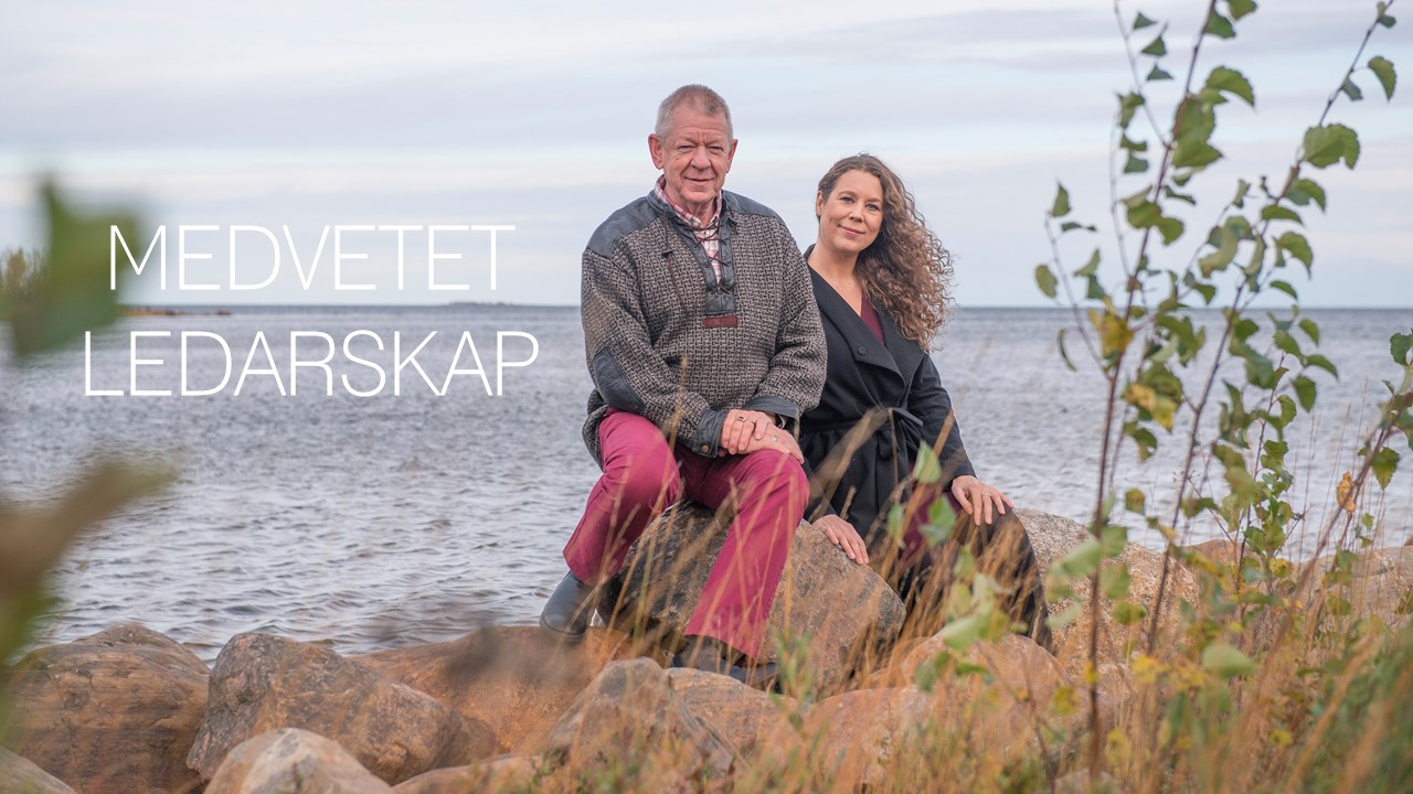 LOGGA 3 medvetet ledarskap