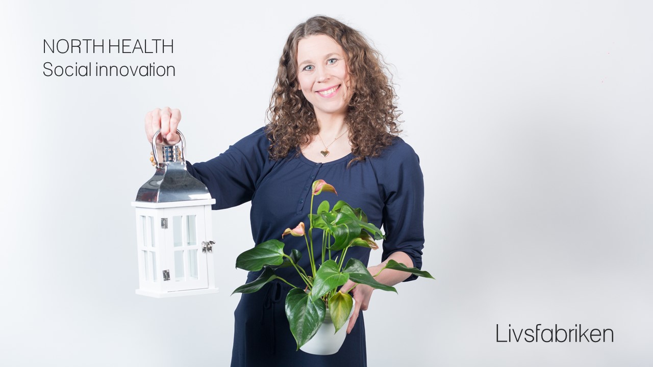 Logga North health med lykta å blomma